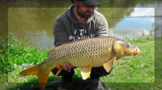 peche